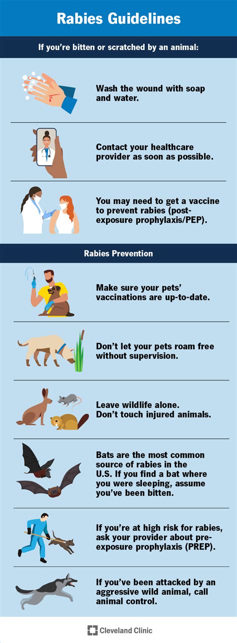 Rabies: Causes, Symptoms, Treatment & Prevention .
